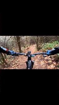 Fall Season Mountain Biking is easy anyone can do it ! part 1