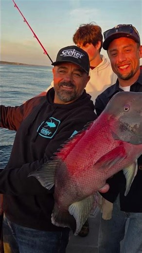 Limits of Reds & Sheephead at San Nicolas! Lingcod & Whitefish on Toronado