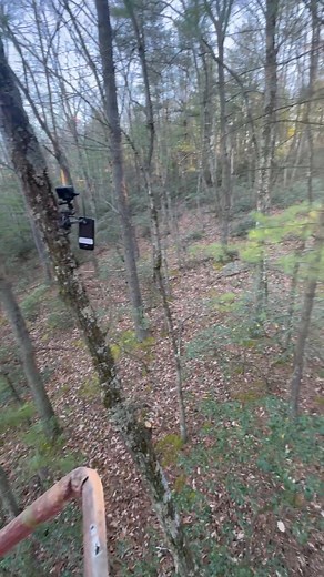 These are the days we never want to forget. | Raising Arrows Outdoors