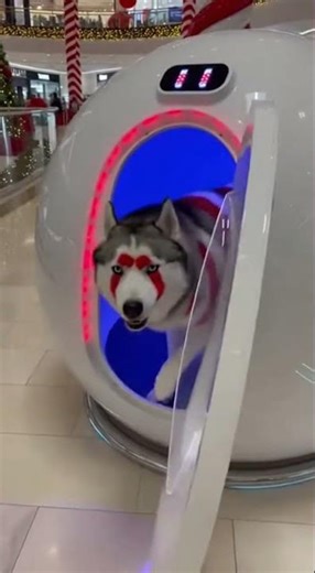 Santa Mode Activated 🎅