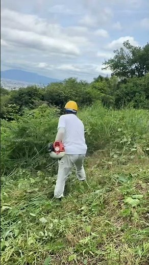 【渾身の草刈り‼️】1年ぶりの伸び放題の展望所の雑草😵ループハンドルの草刈機を振り回してスッキリに😻 #草刈り #ボランティア活動