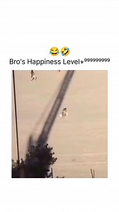 805K views · 21K reactions | He can't stop laughing! 藍 | Random Posts | Facebook