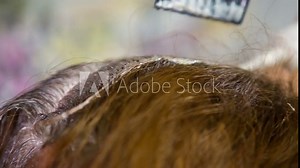 Applying Hair Color With Brush