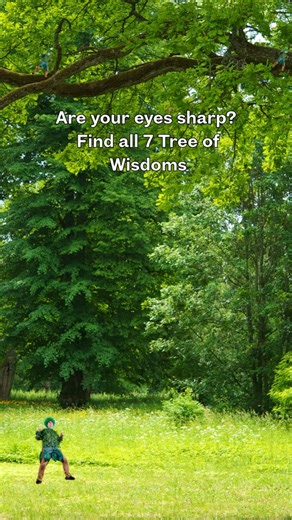 The Wiggles on Instagram: "Eye spy with my Tree eyes. 👀 #TheWiggles #TreeOfWisdom"