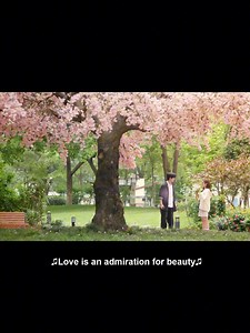 🍨Romantic Encounter 🍨Drama：爱你 The Best Thing #chinesedrama #hotdrama #爱你 | C-drama time