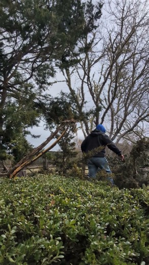 when you go outside to do a project but find a different one waiting for you #springcleanup