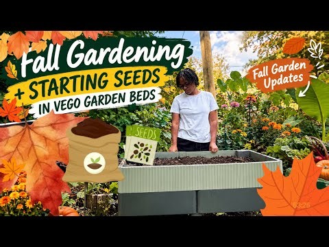 Planting My Fall Garden in Vego Raised Beds 🍂 Kale, Collards & More