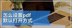 怎么设置pdf默认打开方式
