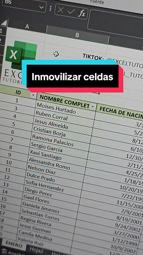 Curso Excel: Inmovilizar Celdas Para Mayor Productividad