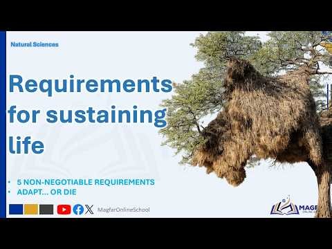 Life Does NOT Survive by Accident! Requirements for Sustaining Life & Adaptations Explained