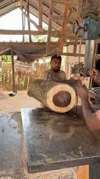 Amazing Chair Making from a Giant Tree Log 🌳 | Incredible Woodworking Skills #shorts