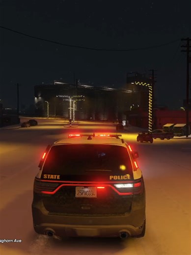 Panic Calls Can Be Hetic #LSPDFR #GTAV #RP #newmexicostatepolice #SAHP | police