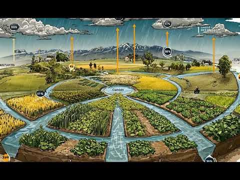 The Hidden Rain Cycle Linking India’s Farms