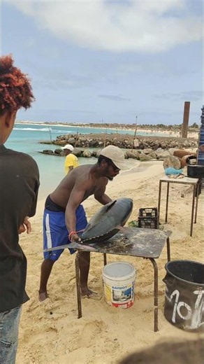 🌴 GIORNO 5 🇨🇻 ALLA SCOPERTA DI SANTA MARIA! 😍🏝️