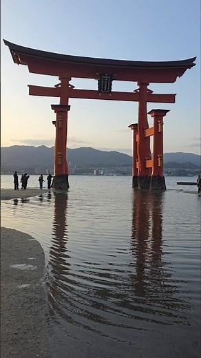 The Iconic Floating Torii gate of Miyajima Iceland in Hiroshima Japan🇯🇵 #Itsukashima Shrine
