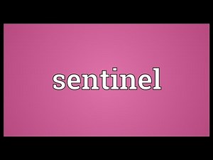 Sentinel Meaning