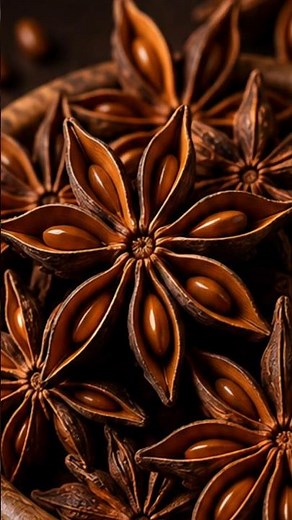 5 Potential Health Benefits of Star Anise ⭐🌿