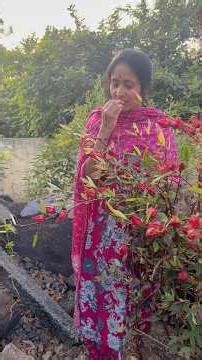 🎋🥒ఈ season లో అమ్మ😍 పెంచుతున్న కూరగాయలు ఇవి😋 #minivlog @SandyaLingam #arjundairy #mancherial