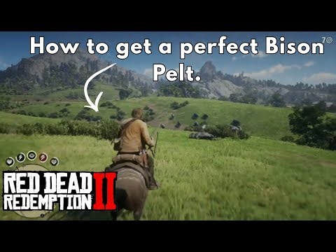 How to get a Perfect Bison Pelt every time! | Red Dead 2