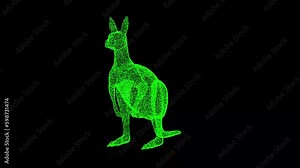 3D kangaroo rotates on black background. Object made of shimmering particles. Wild animals concept. For title, text, presentation. 3d animation 60 FPS