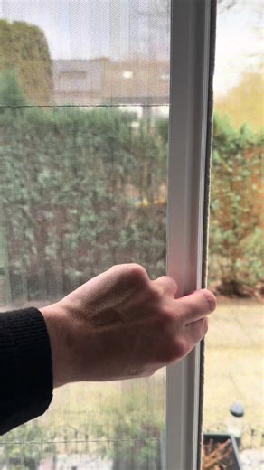 Ultimate Guide to Insect Screens: Fresh Air Without Bugs