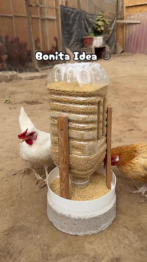 Comedero para Aves Fácil con Reciclaje
