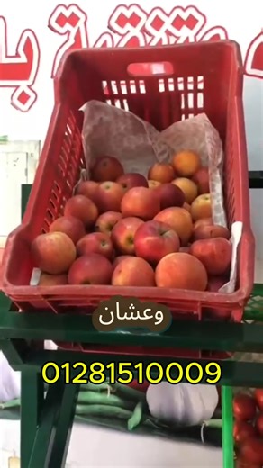 Food Hyper El Fardous 😍😍😍 اطلبي دلوقتي كل الي نفسك فيه باحسن الاسعار | Food Hyper