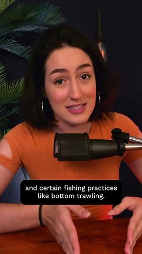 Overfishing: Are We Emptying Our Oceans? #Shorts