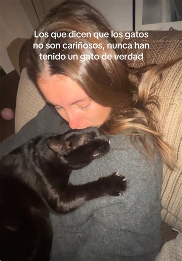 Lo amo mucho mucho🥺 #gatos #gatostiktokers #amor #catlover #fyp