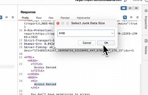 8.6K views · 184 reactions | nowafpls Burp Plugin to Bypass WAFs...