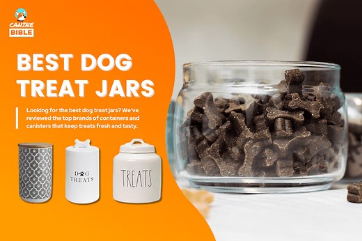 20 Best Dog Treat Jars: Top Containers & Canisters 2026 - Canine Bible