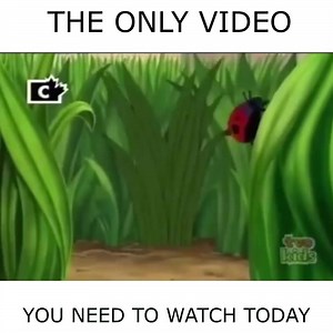 2.7M views · 37K reactions | One way feels trip to memory lane | Australian Millennials | Facebook