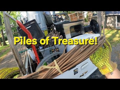 Bulk trash is the best! Treasures and street gold found!