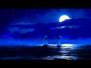 Finding Nemo Nice Scene