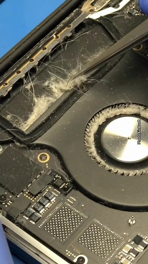 Satisfying Laptop Cleaning for Dog Owners | PhoneFixCraft