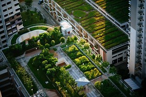 The benefits of urban farming & how they build community | Ourgoodbrands