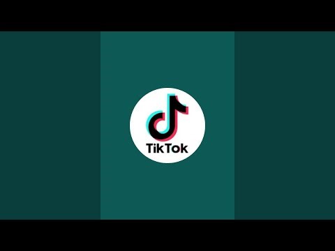 HAMSTER RAVE 12-27-2025