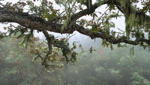 How Does the Powerful Fujifilm GFX 100 Hold Up for Landscape Photography?