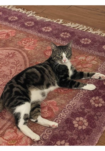 Dealing with Toxic Behavior: How to Recognize and Address Harmful Situations