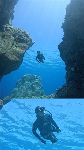 Freediving Hawaii | Turtles, Lava Tubes & Blue Beyond 🌺🐢🌊