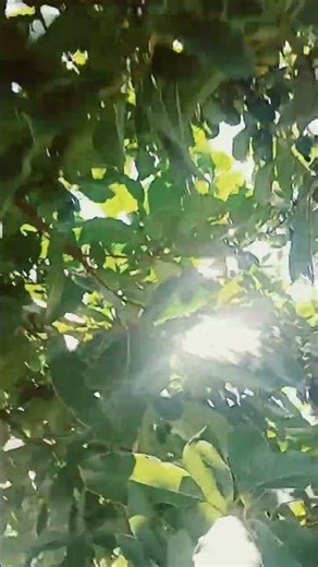 1 de fevereiro de 2026