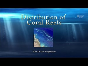 Why are coral reefs only found around the equator?