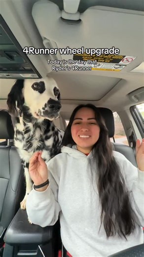 Ryder’s 4Runner gets new wheels 🤭 2022 Toyota 4Runner Off-road premium • Wheels: @dropstarswheels 606MS - 17”x8.5” • Tires: @nittotire ridge grappler 285/70R17 Send me lift kit brand recommendations!! 👀 Keywords: 4Runner wheels, 4Runner tires, 4Runner mods, modifications, dropstar wheels, lift kit, tire shop #4runner #dog #dogs #dalmatian | Ryderthedal