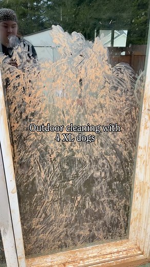 Cleaning our muddy door GIANT dog edition😭🐾 #satisfyingcleaning #CleanTok #momsoftiktok #realistic #momlife #cleaningmotivation #HomeImprovement #cleaning #dogmom #dogmomlife #greatdane | Tailwaggintitans