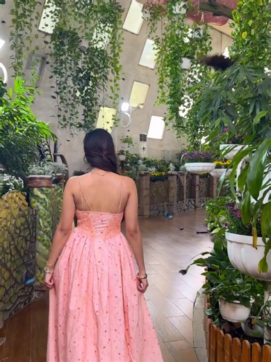 Dubai Butterfly Garden: A Surreal Escape