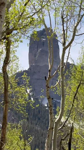 58 reactions | Owl Creek Pass 黎 Officially open for the season 朗⛰️  @visuals.byveronica #adventure #outdoor #offroad #jeep #4x4 #adventuretime #booknow #destination #jeeplife #offroading #outdooradventure #rental #thingstodo #4x4offroad #offroad4x4 #jeeplove #rubicon #4x4life #jeeprubicon | Ouray Mountain Adventures | Facebook