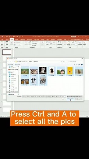How to Batch Import Pictures into Different Slides of PowerPoint?