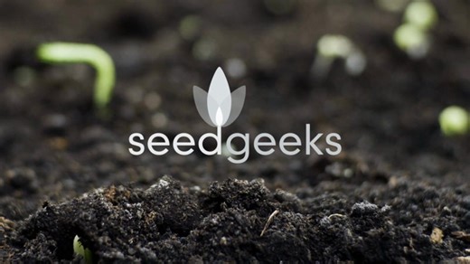 SeedGeeks (Ships from: the US) - Etsy