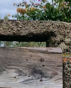 2.8K views | Ruby True on Reels | Facebook