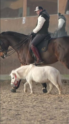 Any und Wilma - Tutorial worauf musst du achten wenn du mit Pony reitest